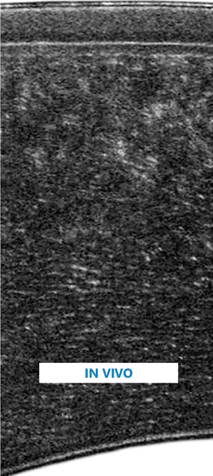 Product Details Image